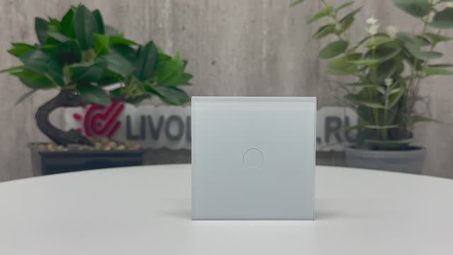 Панель для сенсорного выключателя Livolo 1 клавиша, цвет белый матовый, стекло, BB-C7-C1-11 MT