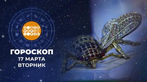 Гороскоп на 17 марта. Доброе утро. Фрагмент выпуска от 17.03.2026