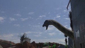 У входа в парк динозавров летает бабочка. Откуда она в Джубге. Разгадка рядом, в соседнем здании