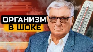 Хронический стресс разрушает тело — почему диеты и режим не делают вас здоровее?