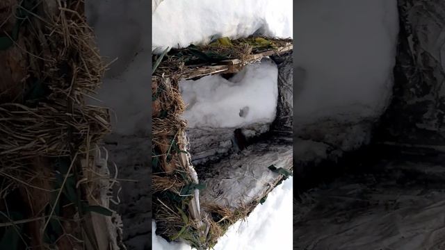 подготовка….