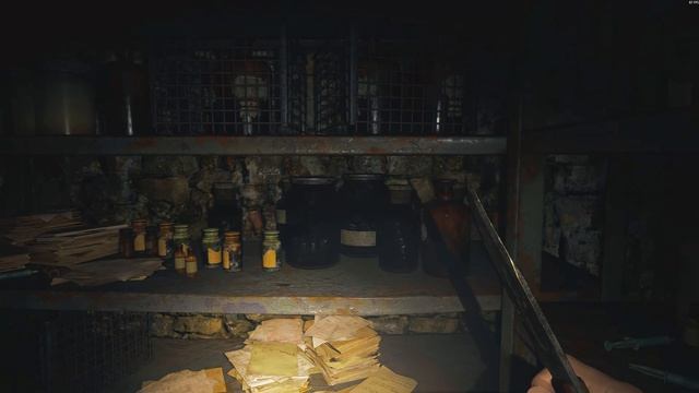 Resident Evil  Village Biohazard Village 2026.03.17 - 05.05.24.12