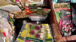 Поздно конечно, но опять полезла в семена.