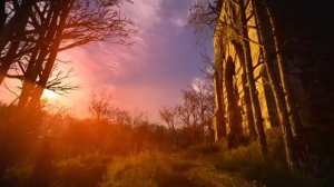 The Witcher 3 - Velen - Relaxing & Emotional Music and Ambience