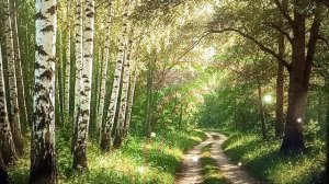 Рыма Чек- холодные блинчики для сожителя