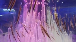 Нячанг2026. Океанариум. Винперл.