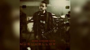 Mushmellow — Hollow Memories (Acoustic)