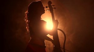 Электронный струнный квартет, шоу программа