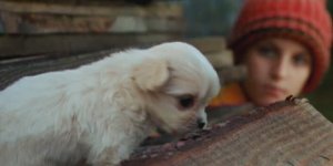 Щенок! Фильм!