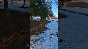 Вторая половина марта.mp4