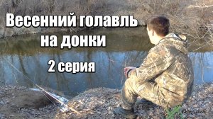 Весенний голавль на донки. 2 серия. Рыбалка на куриную печень с эластичным бинтом.