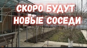 202#Приняла решение обратно все/Друзья помогают/Обработала хвойники/Навожу красоту