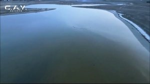 LIVE: C.A.Y. Records Digital Record Label