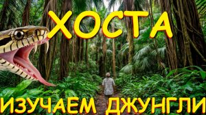 Джунгли Сочи, Мацеста, Сочи сегодня, Хоста, природа кавказа, природа России, куда поехать