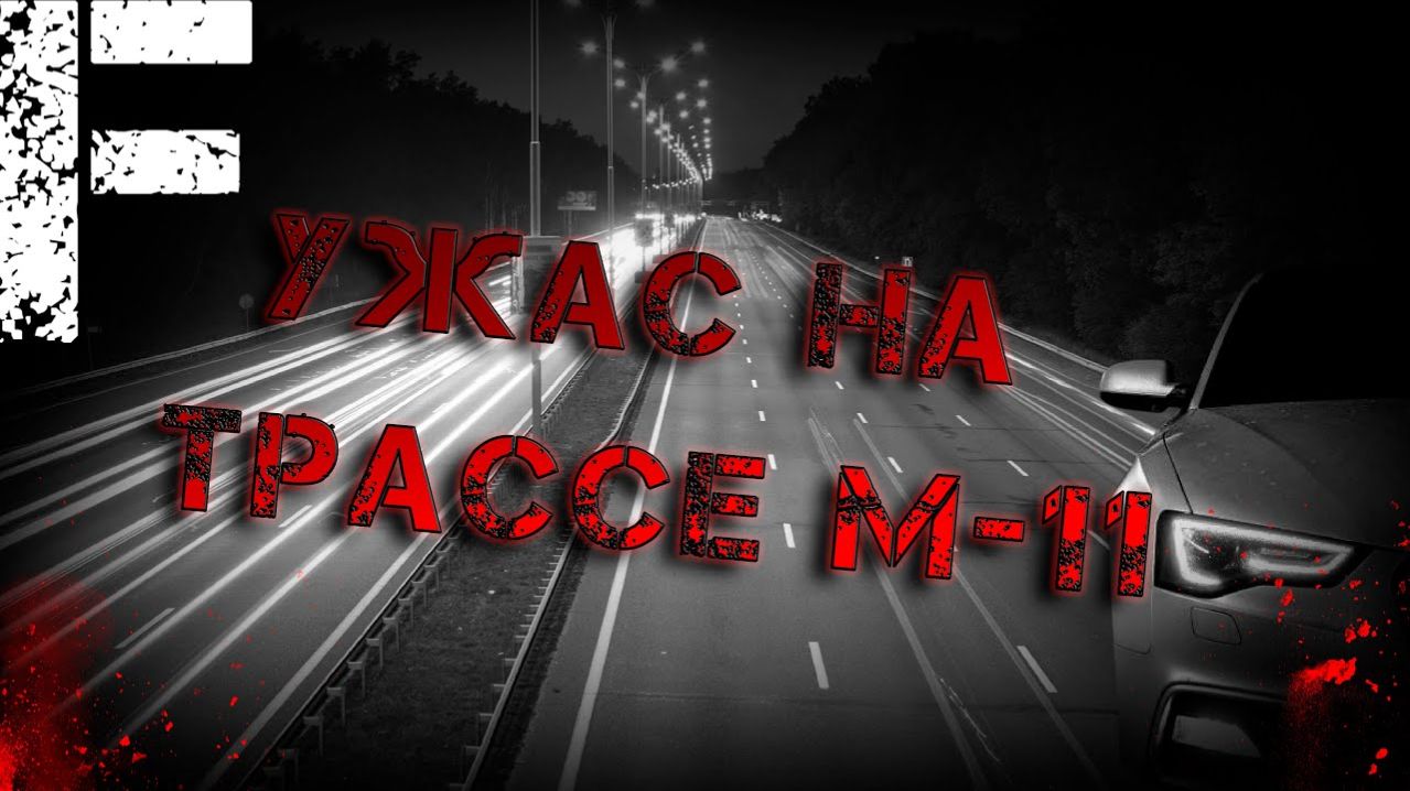 Ужас на трассе М-11. Страшные истории на ночь. Мистика. Страшилки на ночь.
