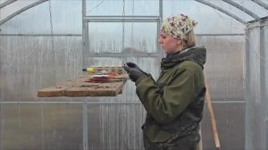 ДЕЛА СЕМЕЙНЫЕ , ЖИЗНЬ НА ХУТОРЕ , ВСЮ ТЕПЛИЦУ ЗАСАДИЛИ В МАРТЕ ,  ИСПРАВЛЯЕМ ВСЕ ПРОШЛОГОДНИЕ ОШИБКИ