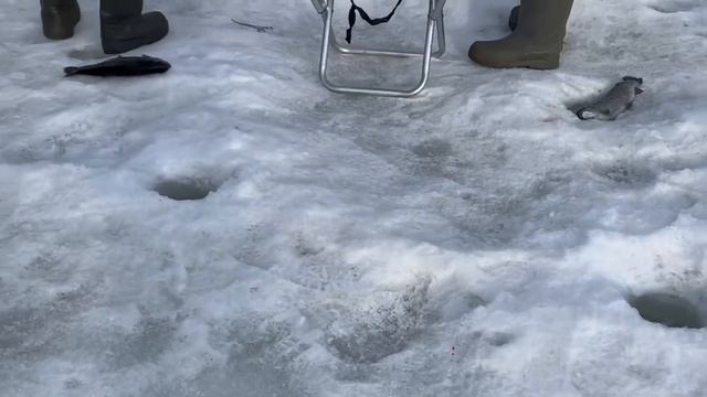 17.03.26 г. РК Волна. смотреть онлайн