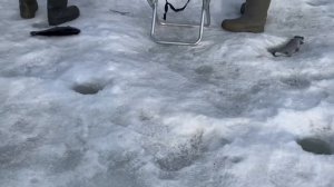 17.03.26 г. РК Волна.