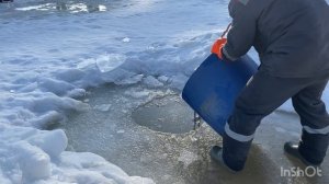 Ежедневное зарыбление