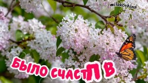 Доброго Весеннего Утречка!