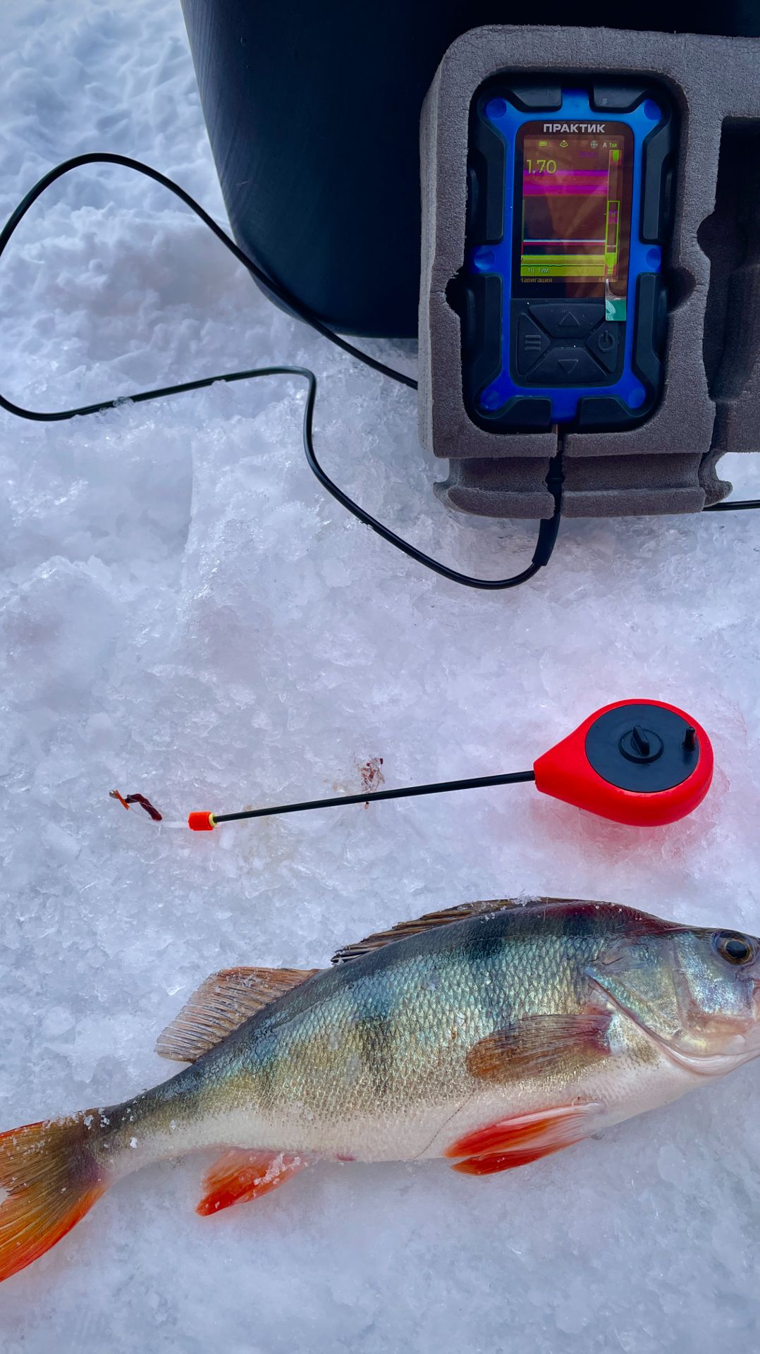 Как поймать большого окуня на мормышку