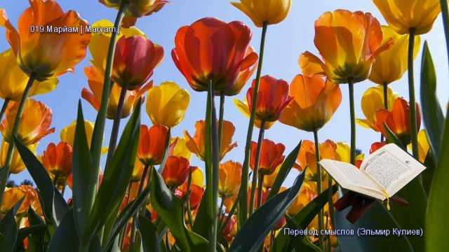 19. Сура Марьям (Maryam | مريم) — Слушать перевод Корана на русском языке 🕌