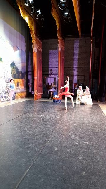 Фея Смелости, балет 