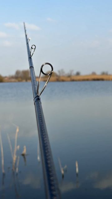 Graphiteleader 24 Calamaretti Prototype 24GCALPS-792MLM