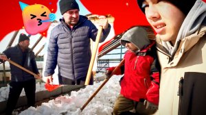 17-03-2026«Ольга Уралочка Лайф: обогреватель без проводов 🧲 и петух без адреса 🐔»