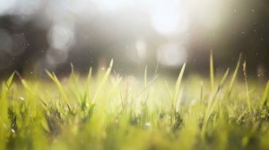 Успокаивающая фортепианная музыка для нервов 🌿 лечебная музыка, музыка релакс для души