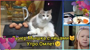 Вечер.Мышка с яйцами 😼.Утро.Омлет🧑🍳