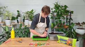 Посев томатов с Тамарой Балабановой