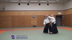 24.Aikido Katadorimenuchi Kokyonage Shishiya Sensei Tokyo 2015