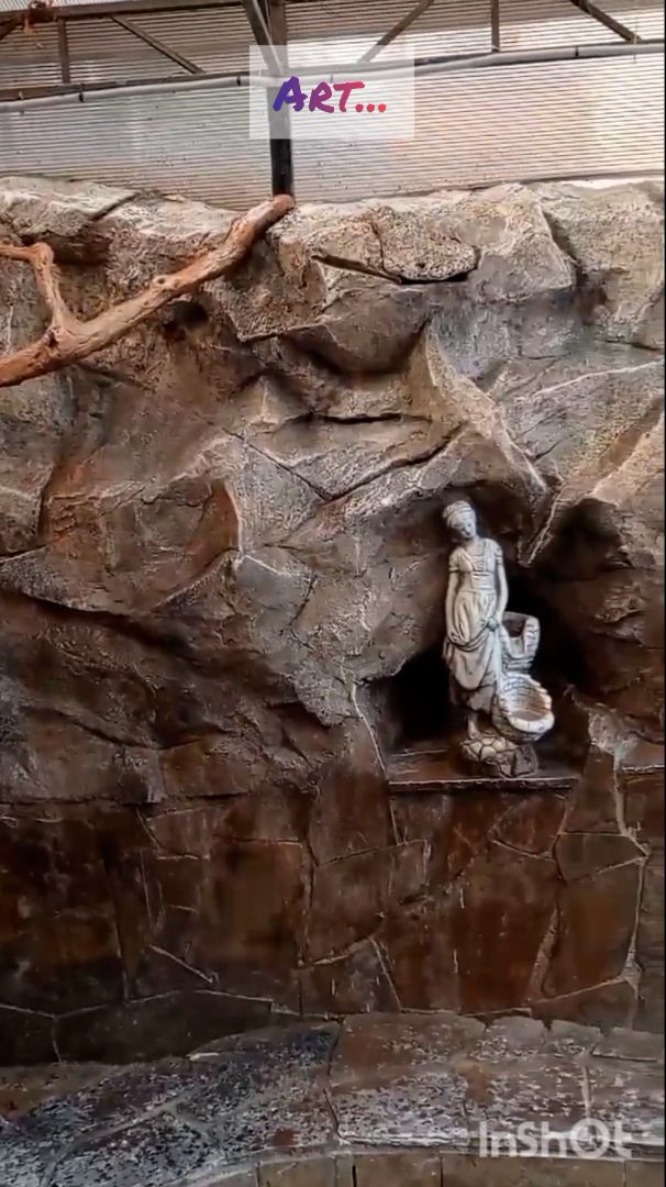 Не учи ученого...