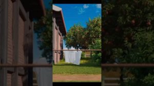 17-03-2026. Боря