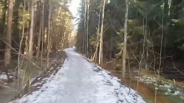 Видео завершение лыжного сезона от моего папы.