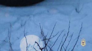 Полицейские Забайкалья задержали сбытчицу эфедрона и уличили её в легализации криминального дохода