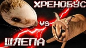 Великая битва большого Шлёпы и Хренобуса | Блоп топ