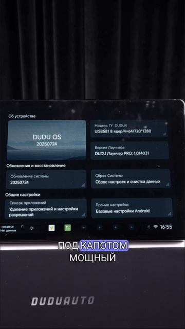 Renault Daster 1 Nissan Terrano + Dudu 4