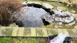 317. Супер новость, я такого не ожидала, обалдеть!