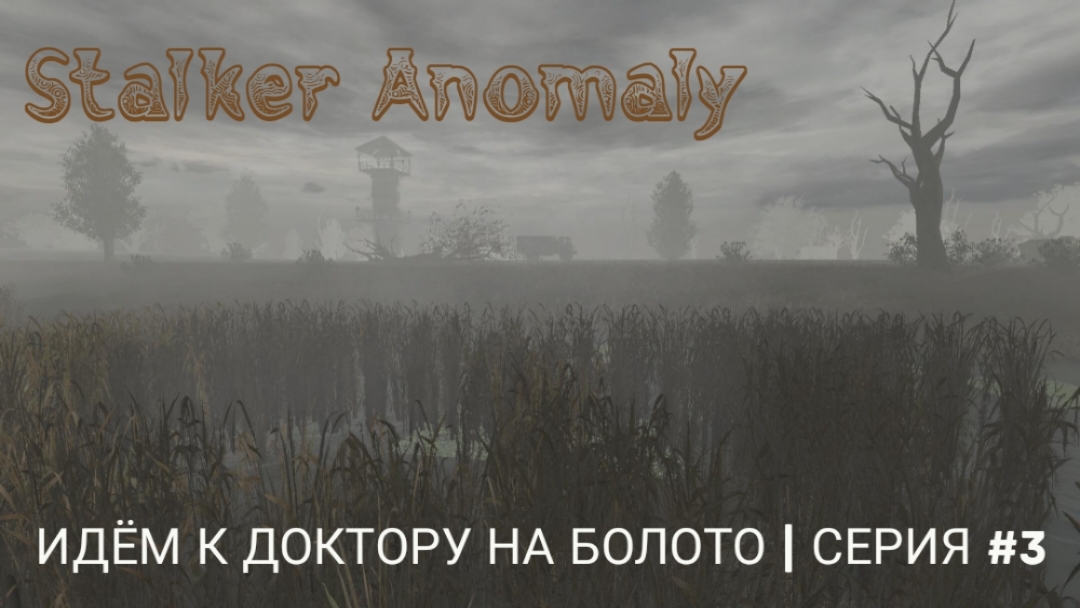 Идём к Доктору на болота | Stalker Anomaly | серия #3