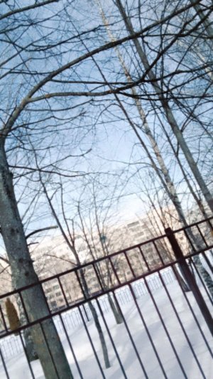 Трансляция