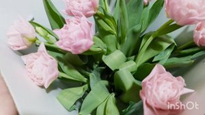 Цветы с работы/ 6 марта