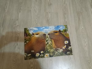 Я  с некитай сабрал