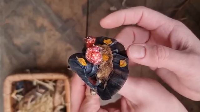 Приглашение Бесплатный МК Брошь Шляпка для ведьмы