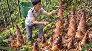 Сбор побегов бамбука в тропических лесах. Отвариваю бамбук и продаю на рынке. Жизнь и быт Вьетнама