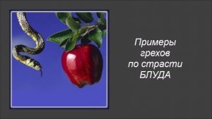 Примеры грехов по страсти блуда