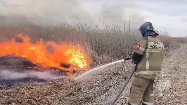 Тушение ландшафтного пожара на Гребном канале, 16.03.2026