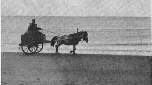 Русский Север.Эхо забытых экспедиций. Поездка Р.В.Алеева  на реки Поной и Варзугу .Лето  1912г.