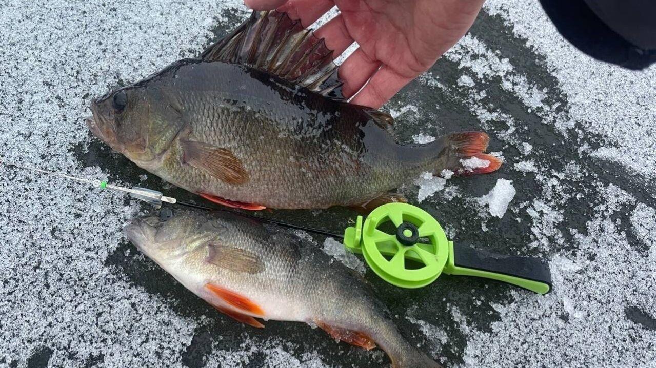 Ловлю Окуней и Сорогу. Хорошая Зимняя Рыбалка. Богатый Улов. Много Рыбы. Лучшая Русская Рыбалка 2026